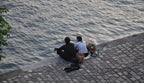 The Distance Closer